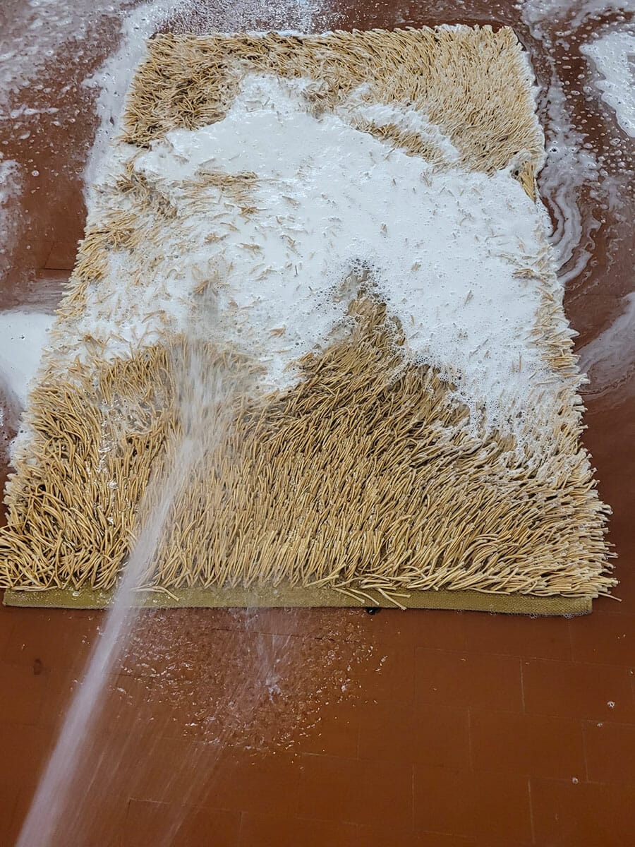 Lavaggio tappeto a pelo lungo Milano