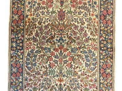 Un tappeto orientale decorato con motivi floreali con un intricato medaglione centrale e un bordo decorativo a bozza automatica.