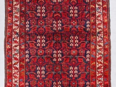 Galleria Tabriz - Tappeti in vendita. Tappeto rettangolare Passatoia Malayer rosso di Persia con intricati motivi geometrici e floreali e bordi decorativi bianchi, stile 299.